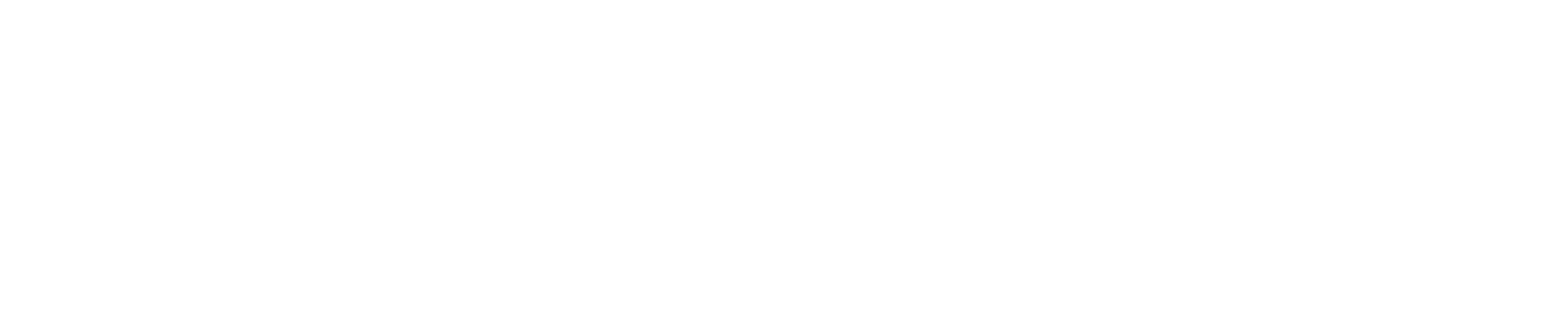 پیشگام رایان